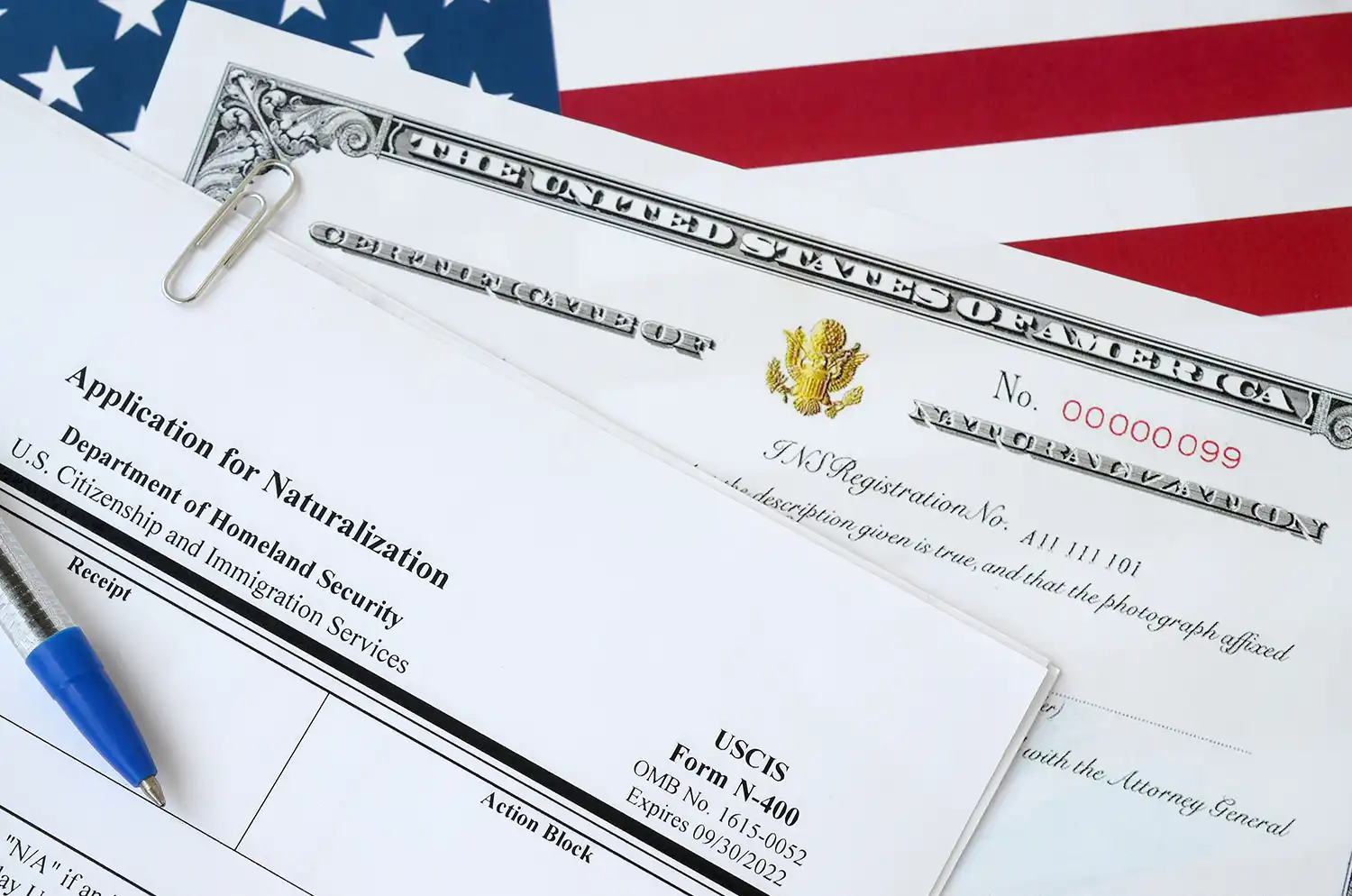 Application for Naturalization